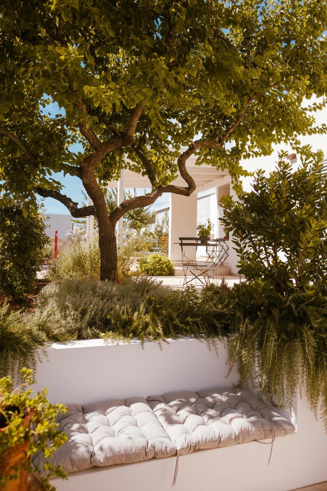 Iconica Luxury Suites Alberobello Exterior photo